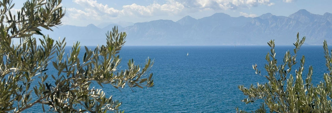 La Storia dell’Olio Extravergine di Oliva